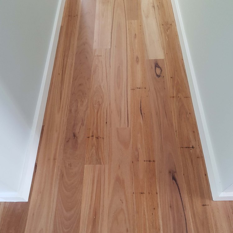 Blackbutt hardwood tongue and grove 13mm overlay flooring.